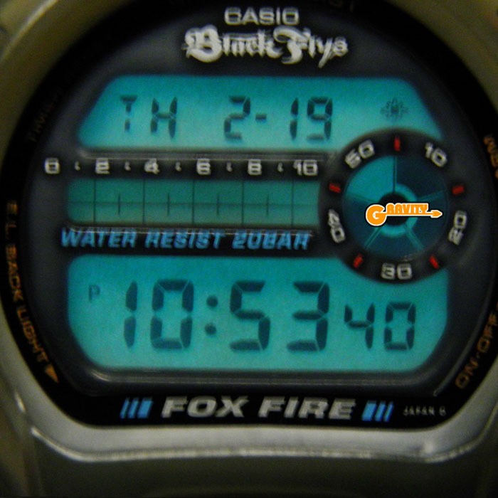 DW-6900BF-1T Black Fly CASIO G-SHOCK ()