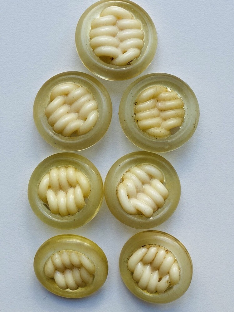 One Dozen Vintage Celluloid Buttons 2472)