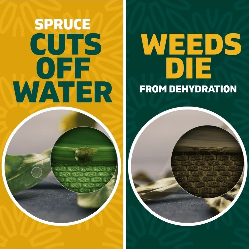 Spruce Snap & Spray Weed & Grass Killer Powered Starter Kit FAST RESULTS