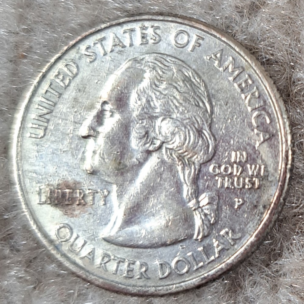 South Dakota - State Quarter - 2006 P