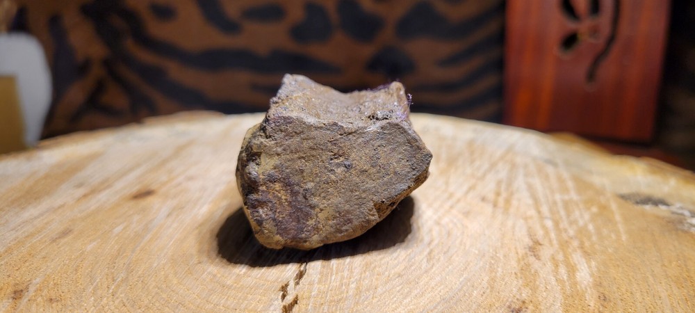 Petrified Wood 90g MI