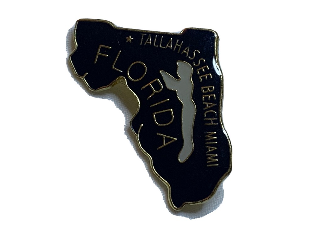 FLORIDA STATE LAPEL PIN NEW