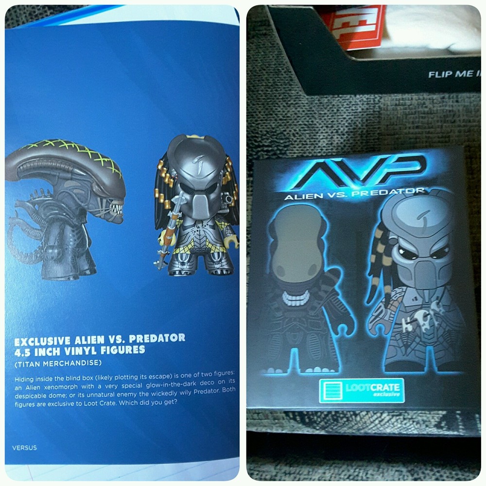 March 2016 Loot Crate Theme: Versus