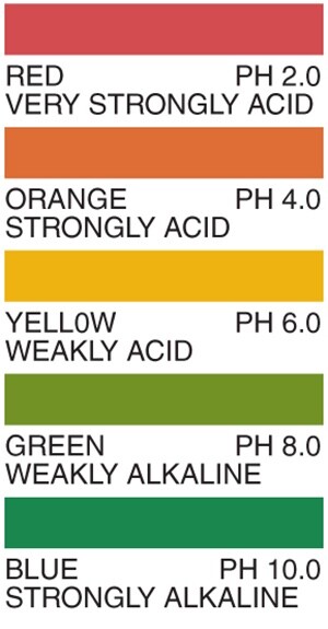 Universal pH Indicator 8×10″ Paper [24 Sheets] for Leak Detection