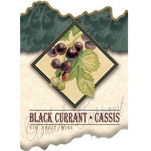 Black Currant Fruit Wine Bottle Labels-Package of 30 Labels-FREE SHIPPING