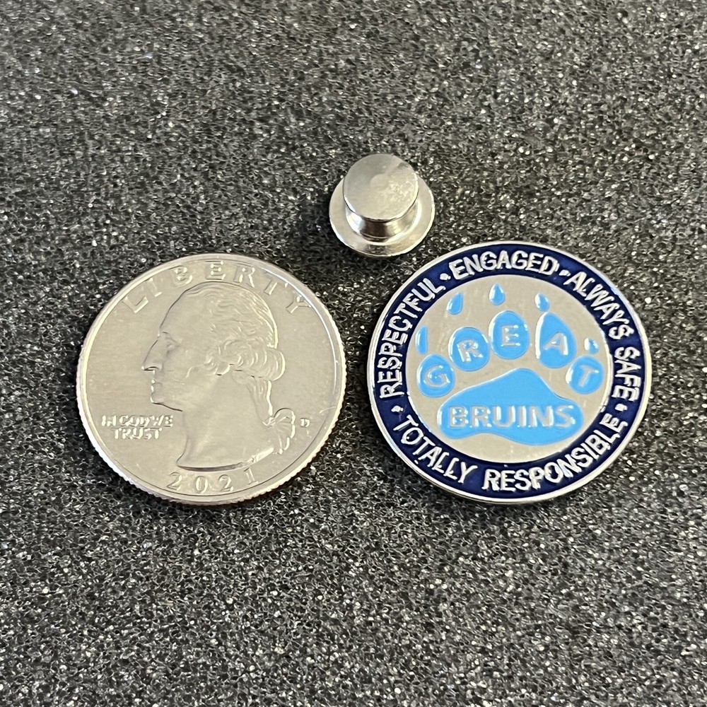 Great Bruins Respectful Engaged Always Safe Responsible Pin Pinback #45599