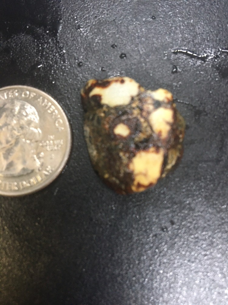 Nevada Aloe Variscite Slab