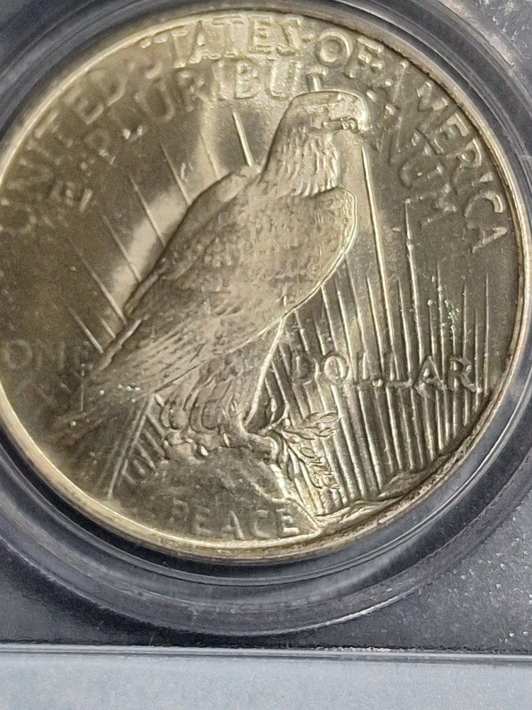 1923 Peace Silver Dollar PCGS MS 65