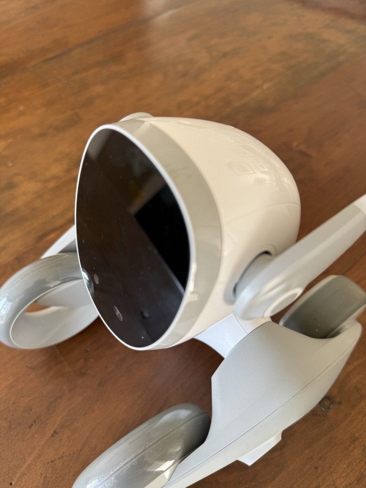 LOONA The PetBot