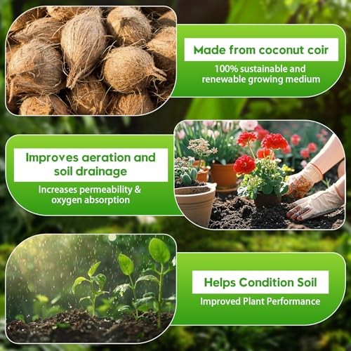 Coco Coir Bricks - Compressed Coconut Fiber Substrate for Plants, 12 PCS