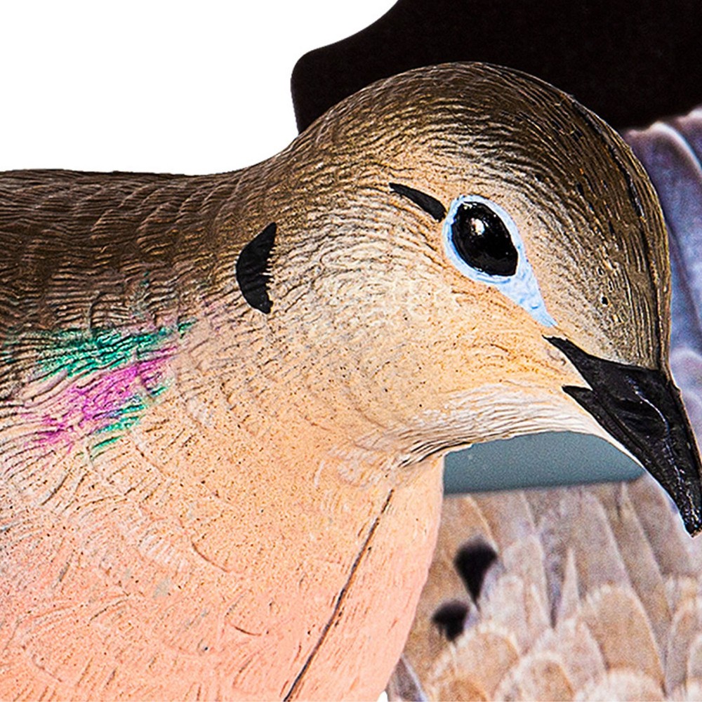 Avian X Powerflight Spinning Wing Dove