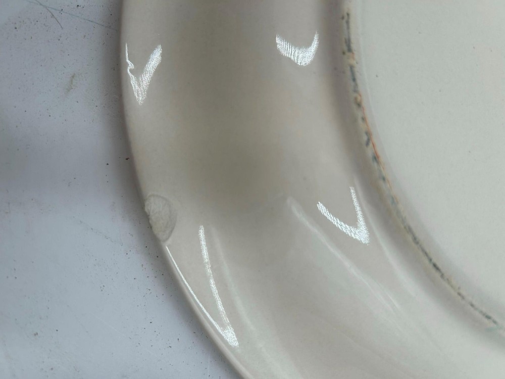 4) MAINSTAYS DINNER PLATES FRUIT GARDEN **READ**