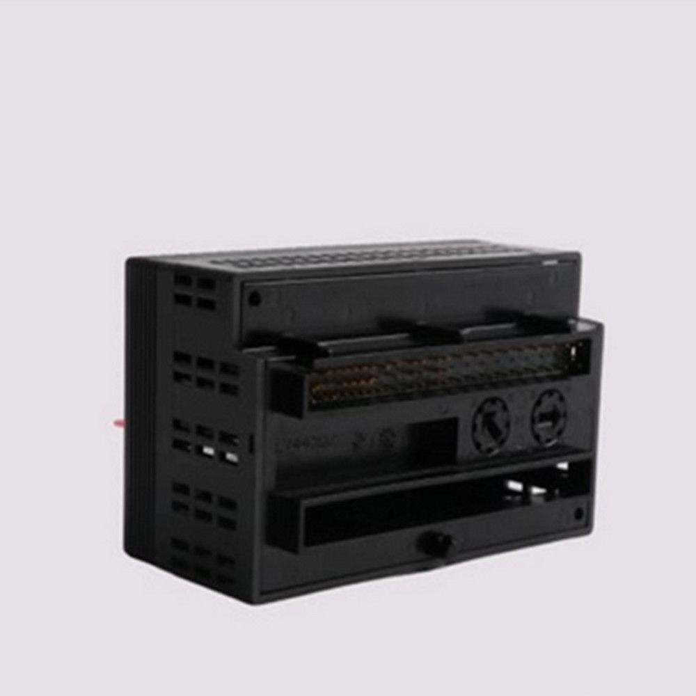 GE FANUC IC200ALG264E PLC Module NEW