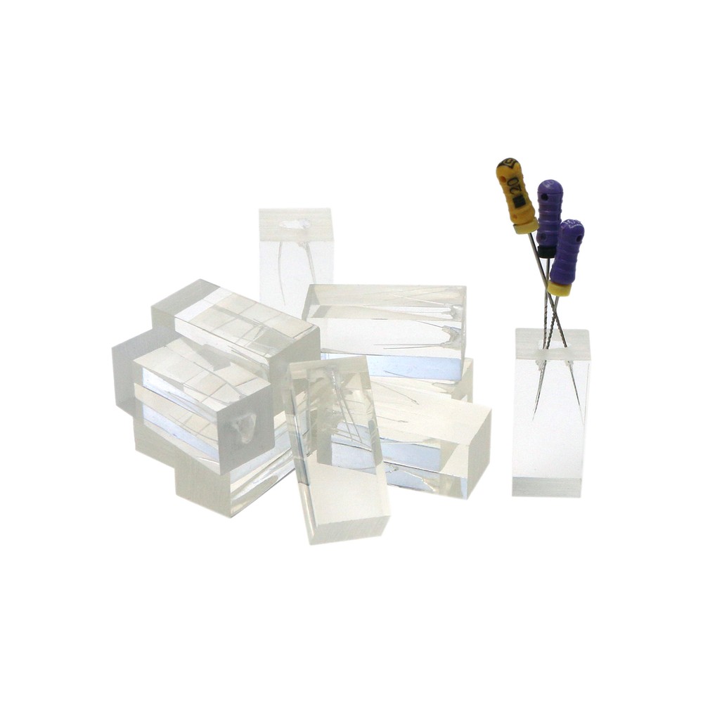 10Pcs Dental Endodontic Study Practice Operation Tooth Model Clear Root Canals