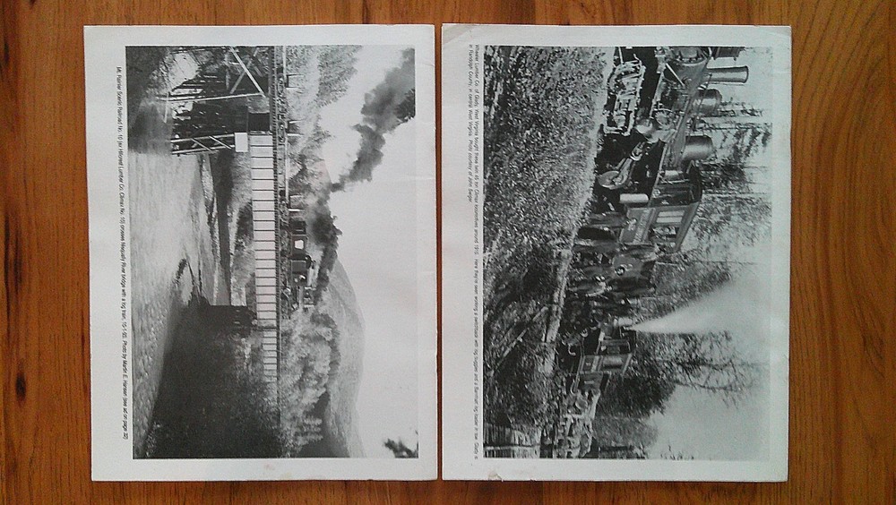 TIMBER TIMES FIRST 8 ISSUES # 1 thru #8 Logging & Lumbering, History, Modeling