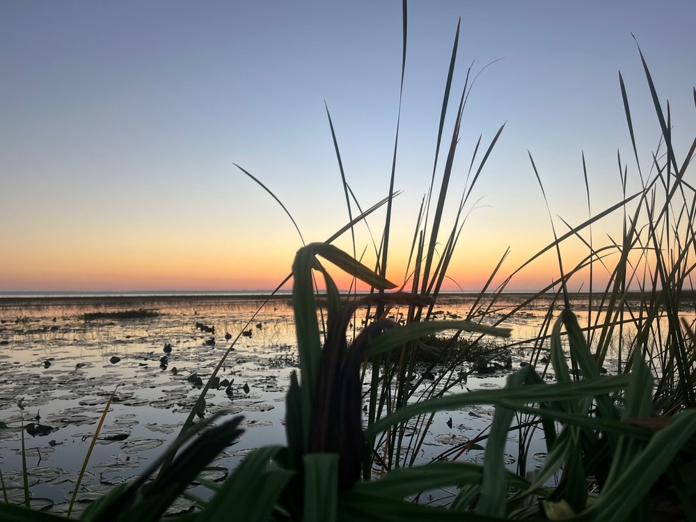 the decoy flock swimmer kit.