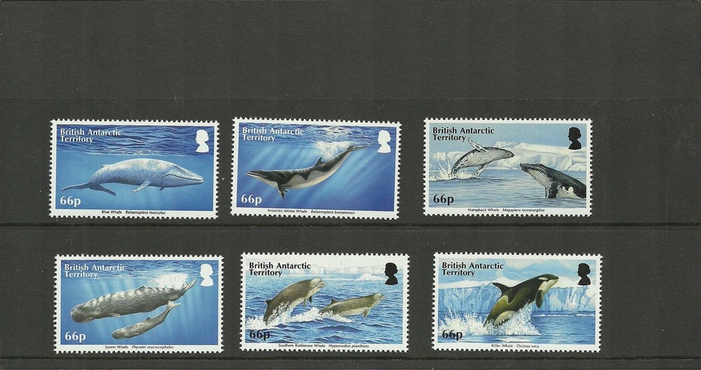 BRITISH ANTARCTIC 2015-SG663-668 WHALES SET MNH