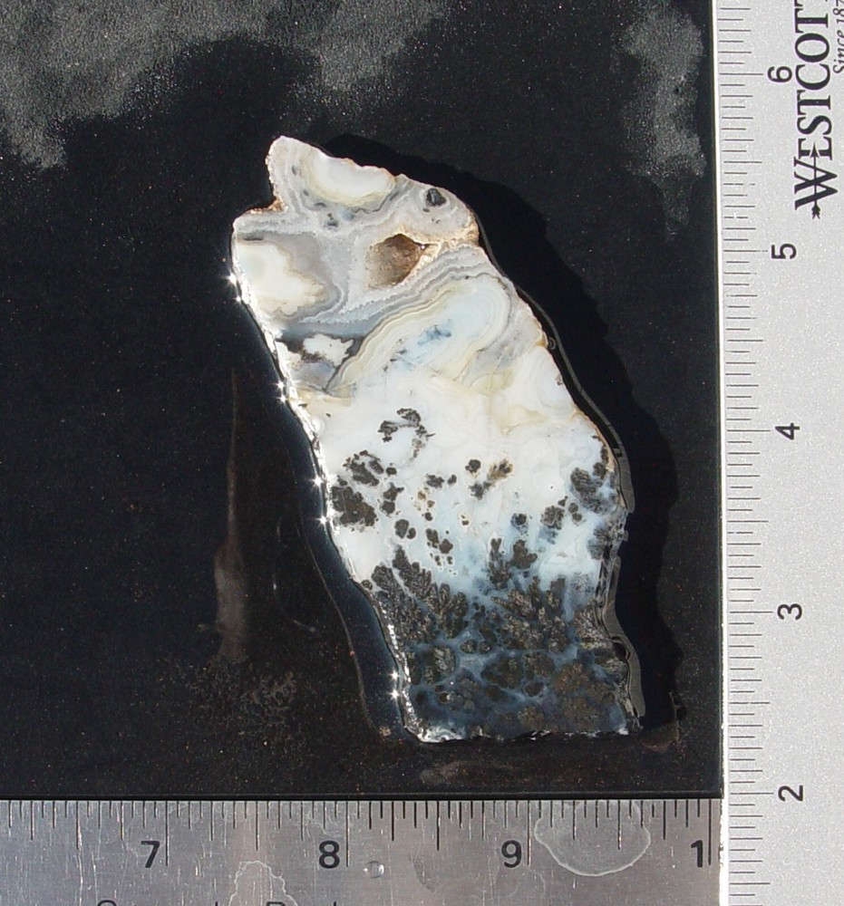 Medicine Bow Dendritic Plume Agate Lapidary Slab T1274