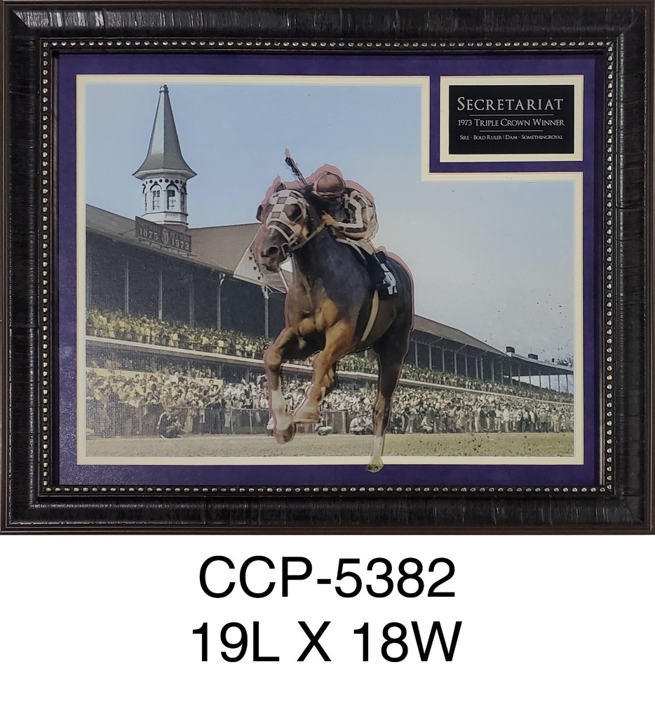 USED Coldesi Compress UV-600s UV Printer with Software