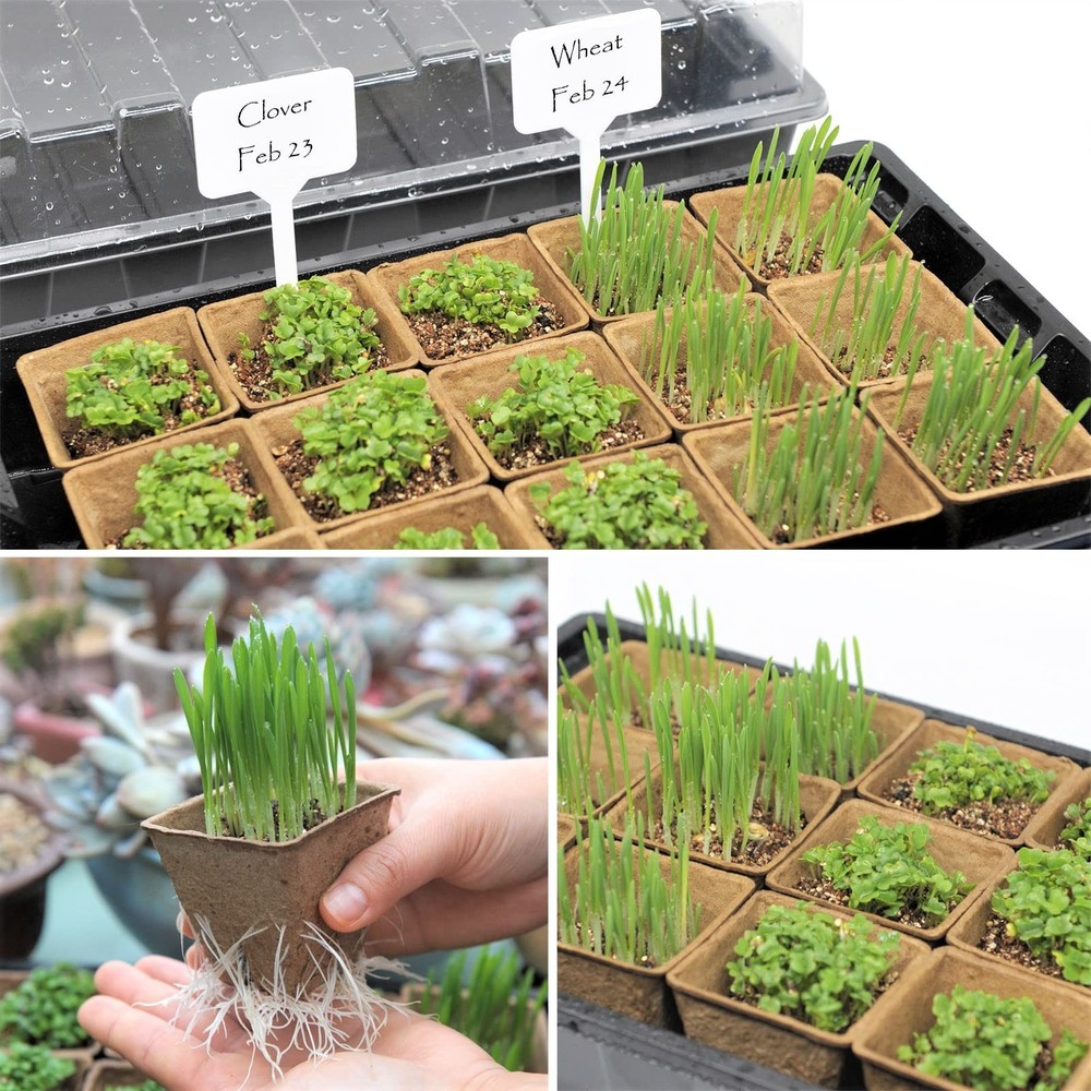 Seed Starter Kit with Peat Pots for Seedlings Seed Starter Tray, Including 10...