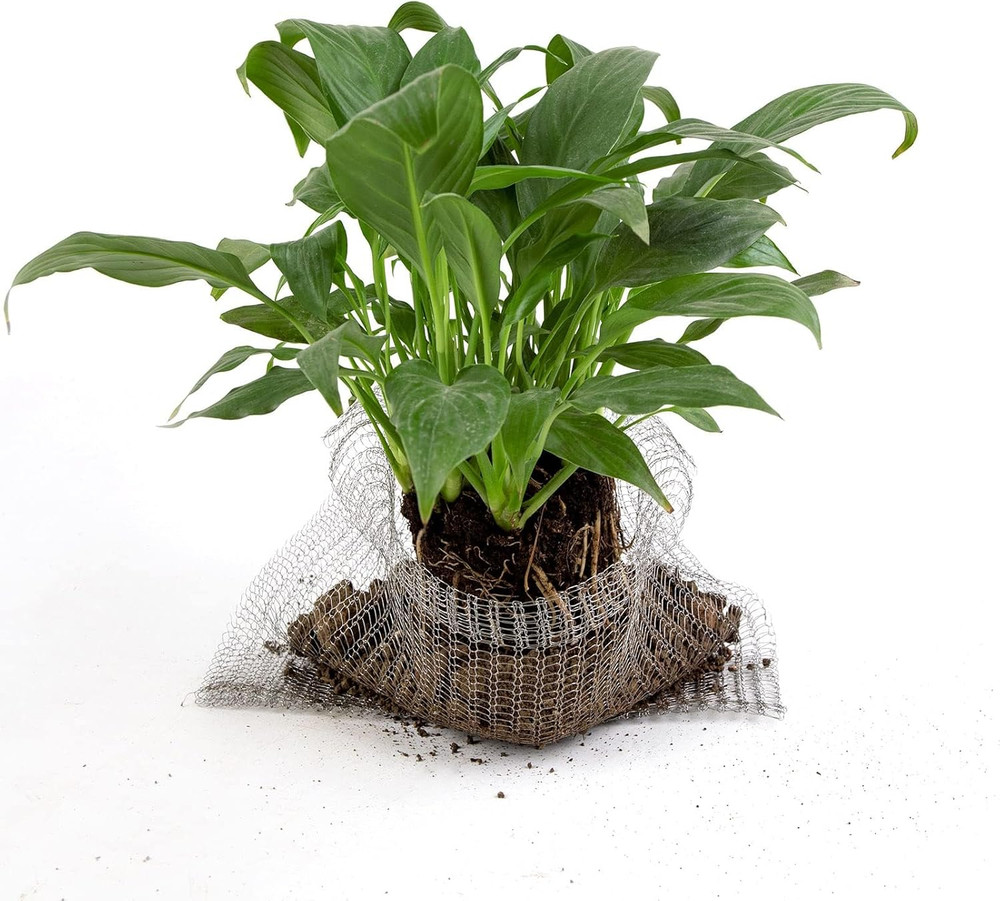 6Pcs Root Guard Gopher Proof Wire Basket Mole and Vole Mesh Wire Baskets Undergr
