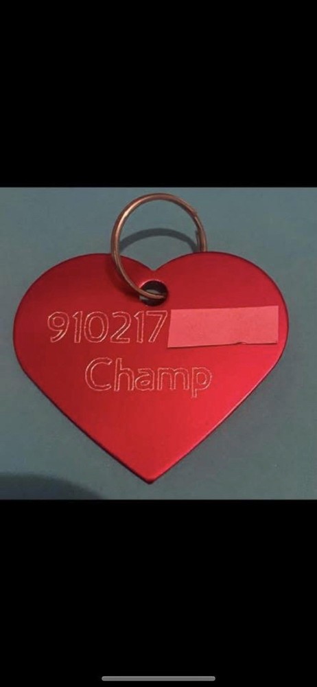 engraved pet id tags