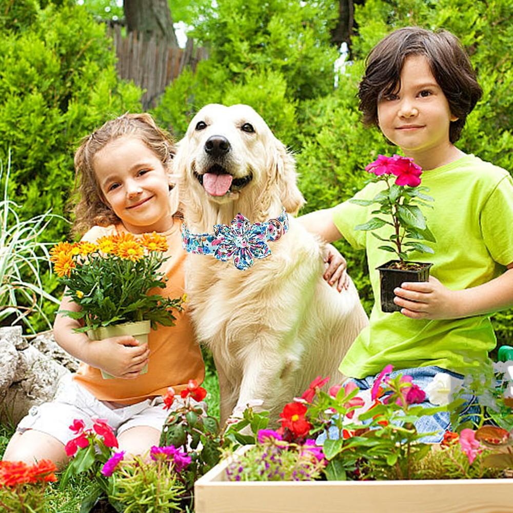 Floral Dog Collar - Soft Durable & Adjustable for Medium Dogs
