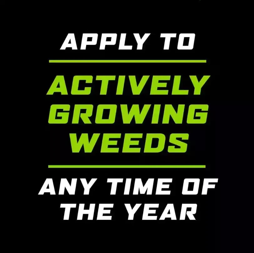 1 Gal. Ready-to-Use Groundclear Weed/Grass Killer