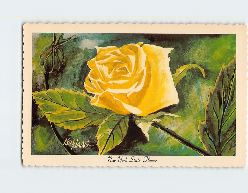 Postcard Rose State Flower USA