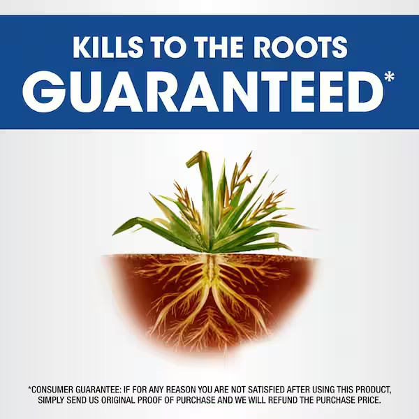 Roundup Weed& Grass Killer Concentrate Makes 10 Gallons - 32 oz.