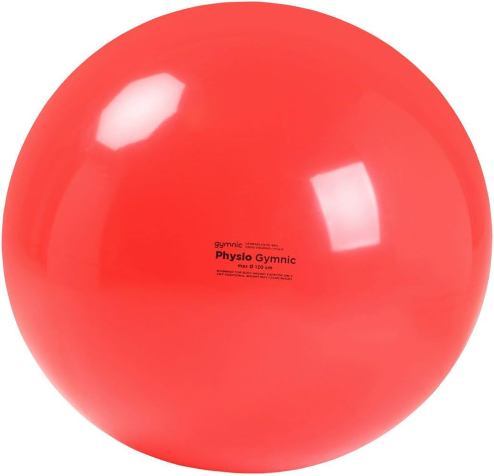 Physio Exercise Ball