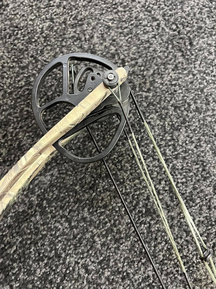 Hoyt Ruckus Bow