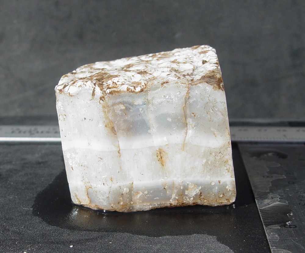White Seam Agate Small Lapidary Rough T1043