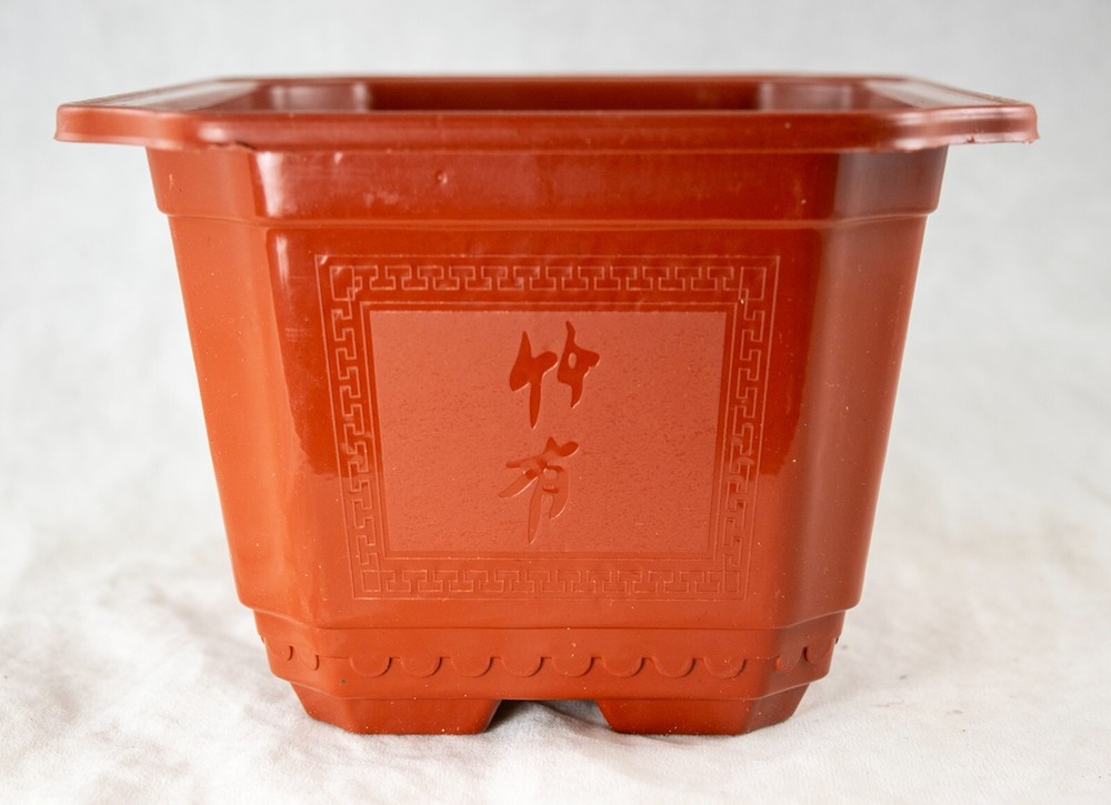 Rectangular Plastic Cactus & Succulent, Bonsai Training Tall Pot 7.25" to 17.5"