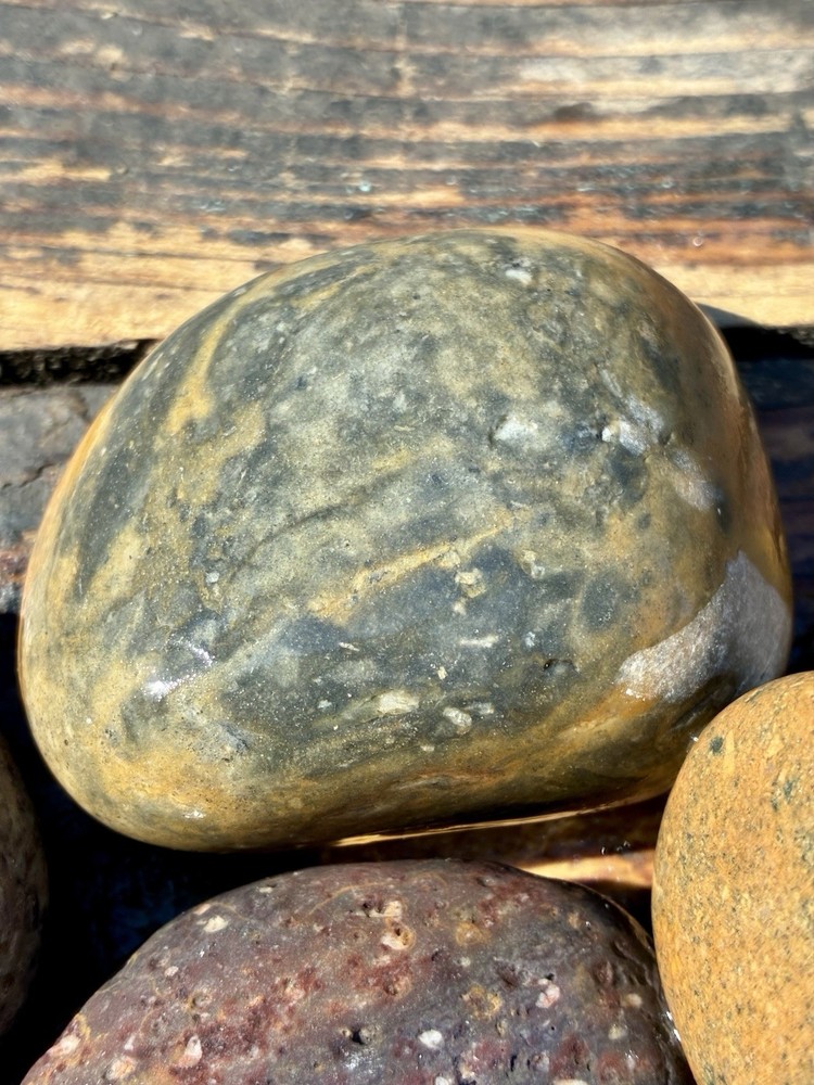 Jasper~ Solid ~ Lapidary ~ Rough Mixed Assortment 3 Lbs
