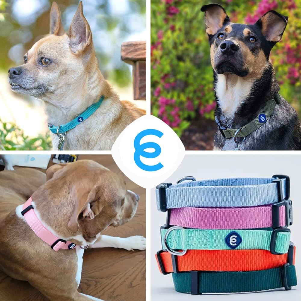 Essentials Reflective Dog Collar for Medium Dogs | Adjustable Nylon Collar in...