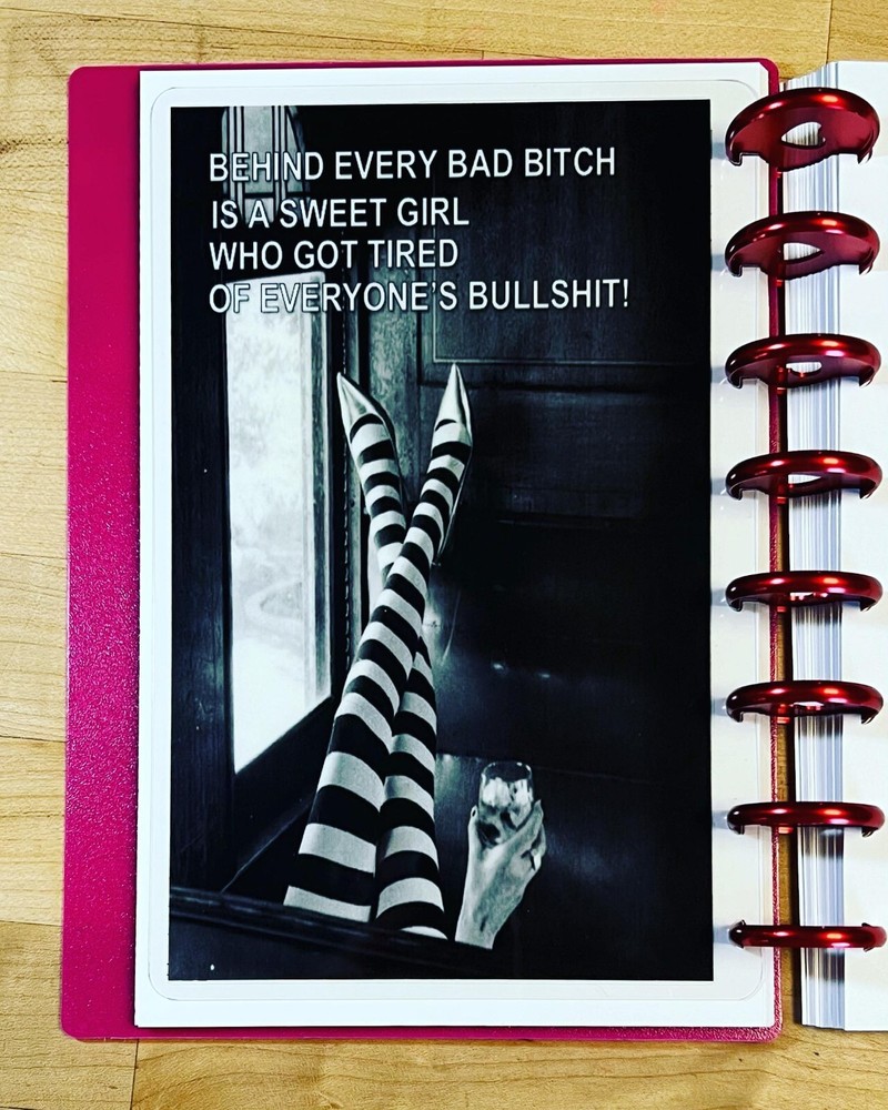 Behind Bad B**ch Mature Language Dashboard 4 use w/ TUL/Arc (8 disc) Planner~