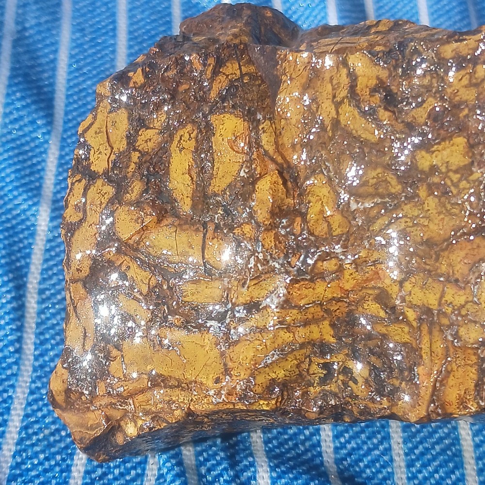 Jasper Rough Specimen Display Lapidary Potential