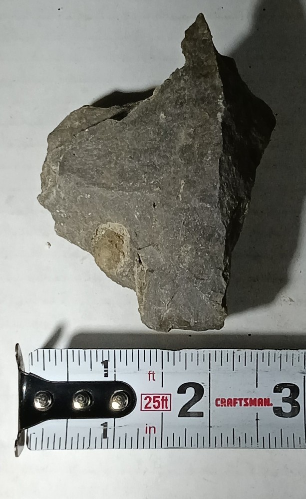 Nittany Dolomite 7 oz Pennsylvania