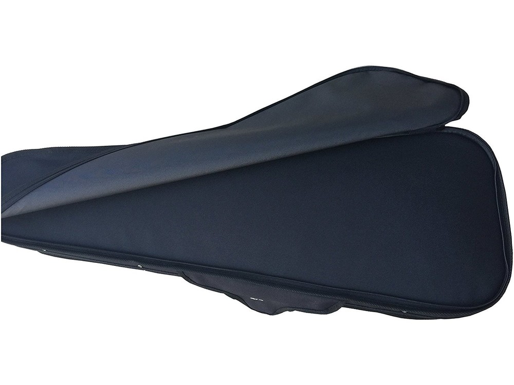 4/4 Professional Triangular Shape Super Light Suspension Violin Hard Case