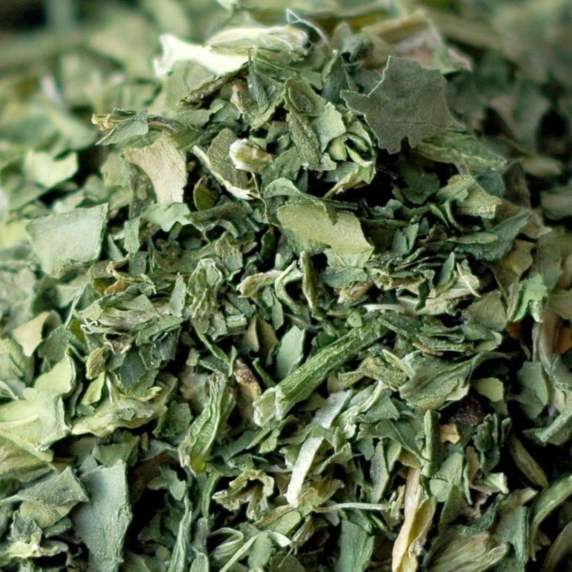 Dehydrated Spinach Flakes