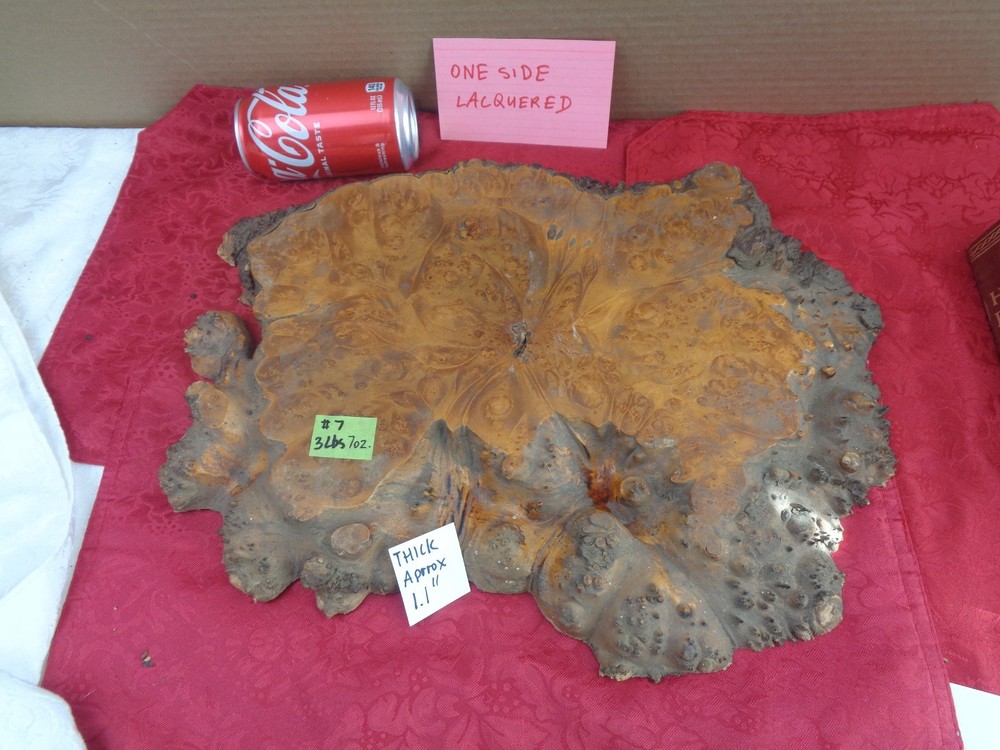 Burlwood Tree Slice #7