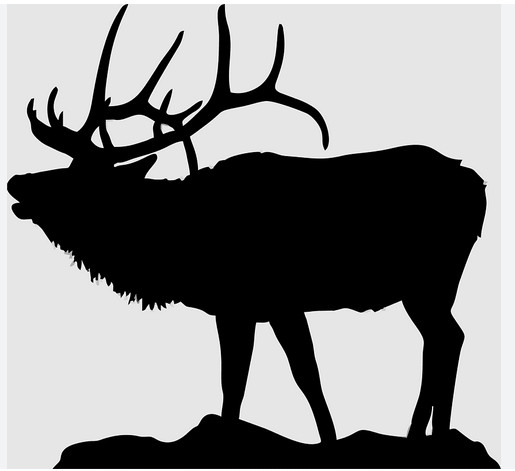 Adopt Halloween Picks Items