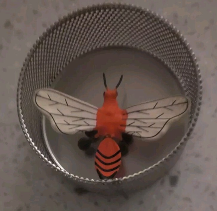 Magnetic Dragonfly In Bug Box Science Project, Refrig Magnet, Or Just Fun!