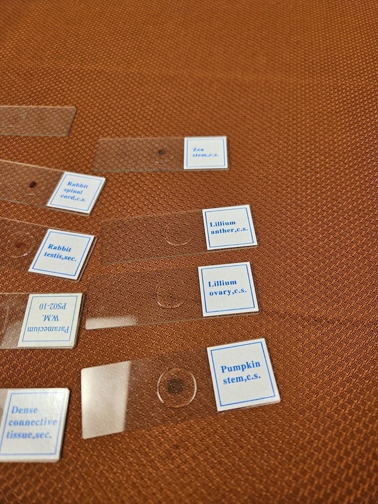 Celestron prepared microscope 25 slide set