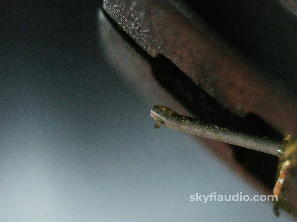 Linn Arkiv MC Phono Cartridge