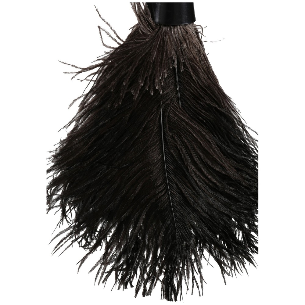 Ostrich Feather Duster Home Cleaning