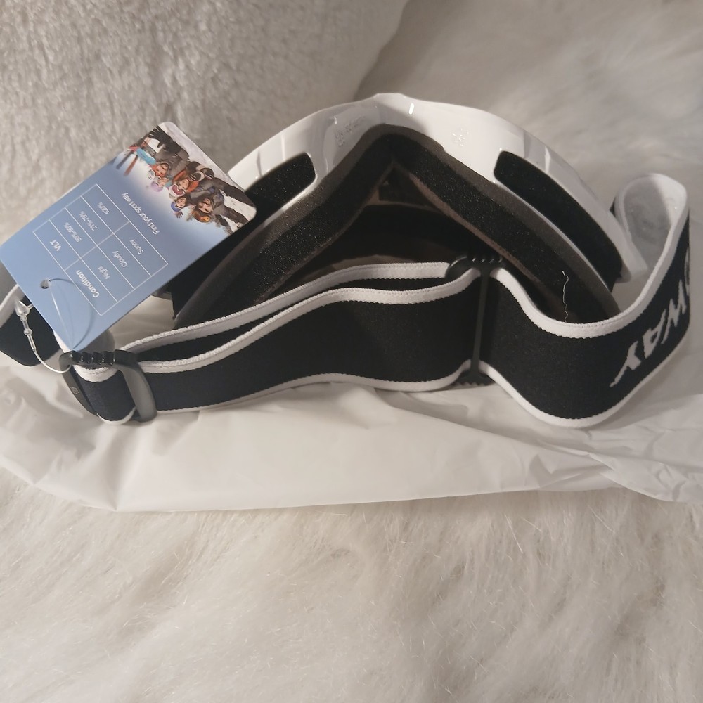 Ski Goggles