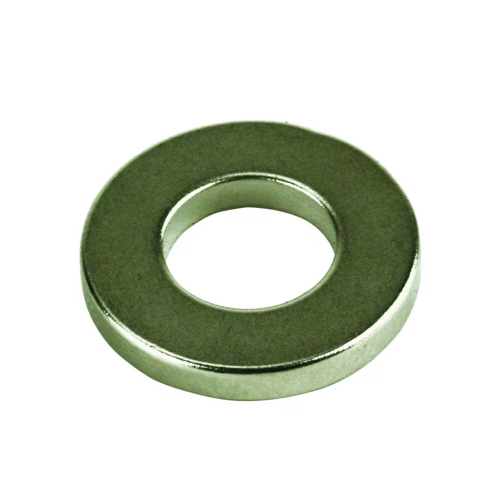 3/4 In. Neodymium Rare-Earth Magnet Discs (3 per Pack)