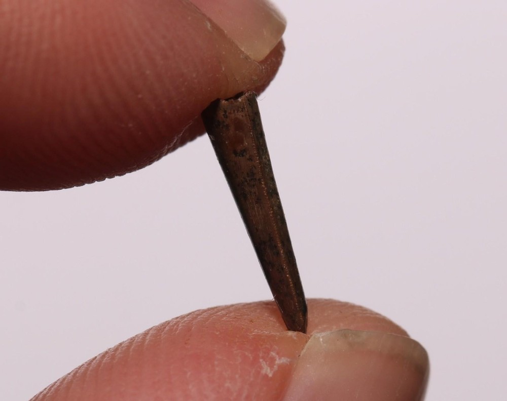 Richardoestesia Tooth GREAT SERRATIONS Hell Creek Formation Cretaceous